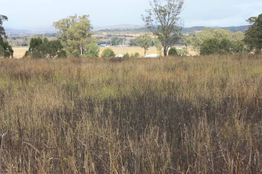 Click to view all images 9372 Mt Lindesay Road Tamrookum QLD 4285 - Image 2