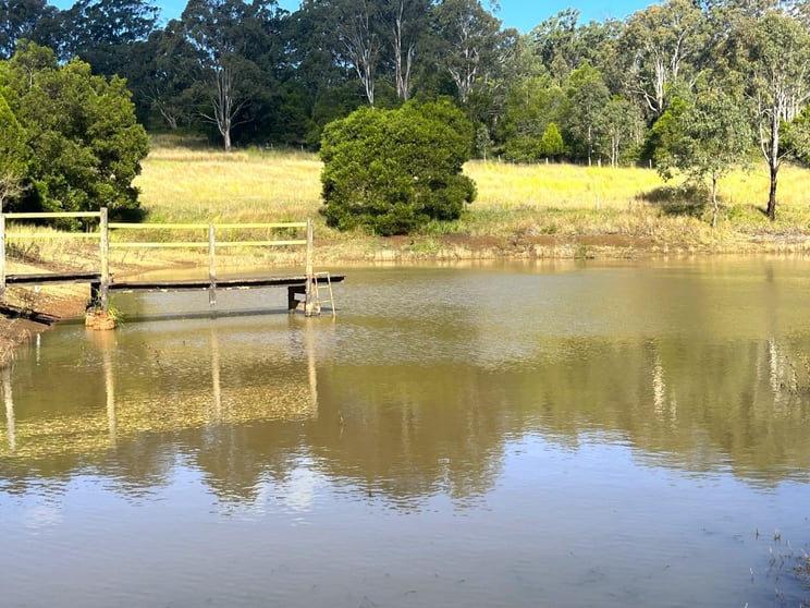 372 Ravenbourne Dip Road Ravensbourne QLD 4352 - Image 3