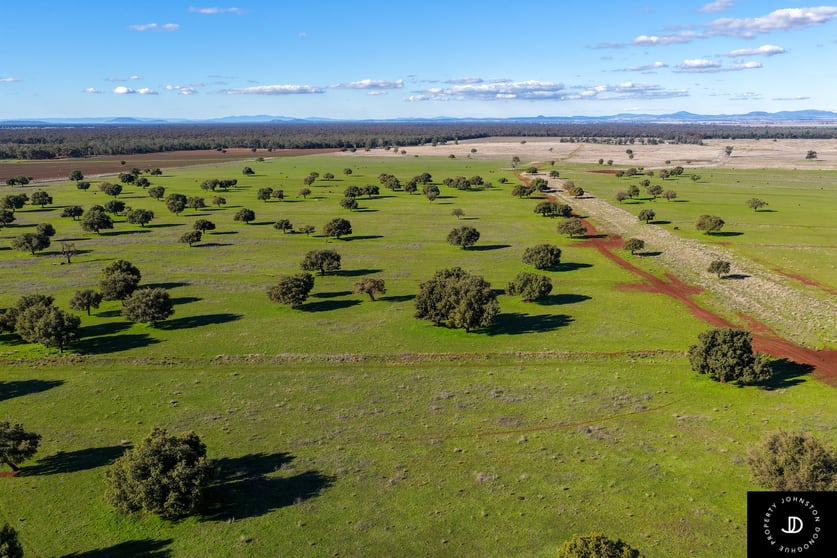 Click to view all images 409 Bakers Lane Gunnedah NSW 2380 - Image 3