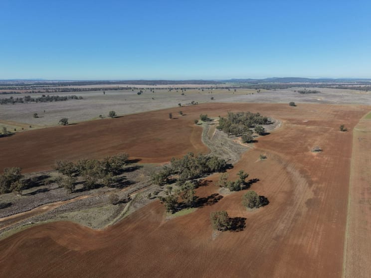 366 Mercadool Lane Bogan Gate NSW 2876 - Image 3