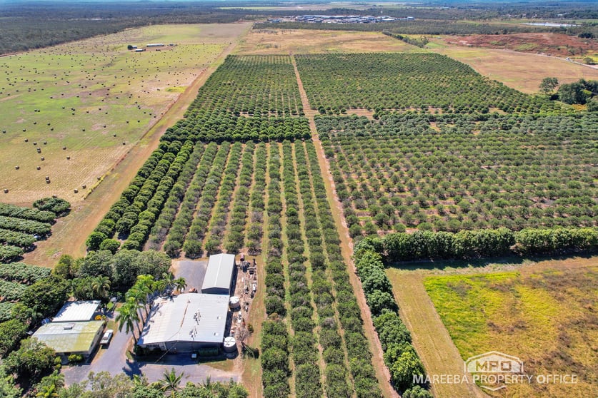 526 Mareeba-Dimbulah Road Mareeba QLD 4880 - Image 1