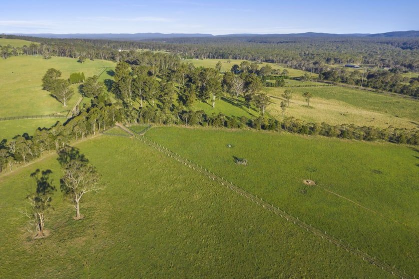 290 Old South Road Alpine NSW 2575 - Image 3