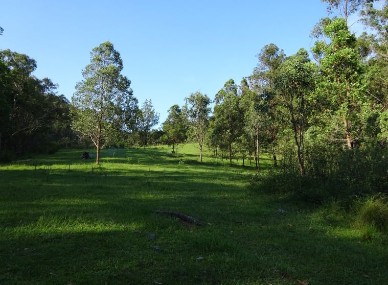 Click to view all images 193 Old Glen Innes Road Newton Boyd NSW 2370 - Image 2