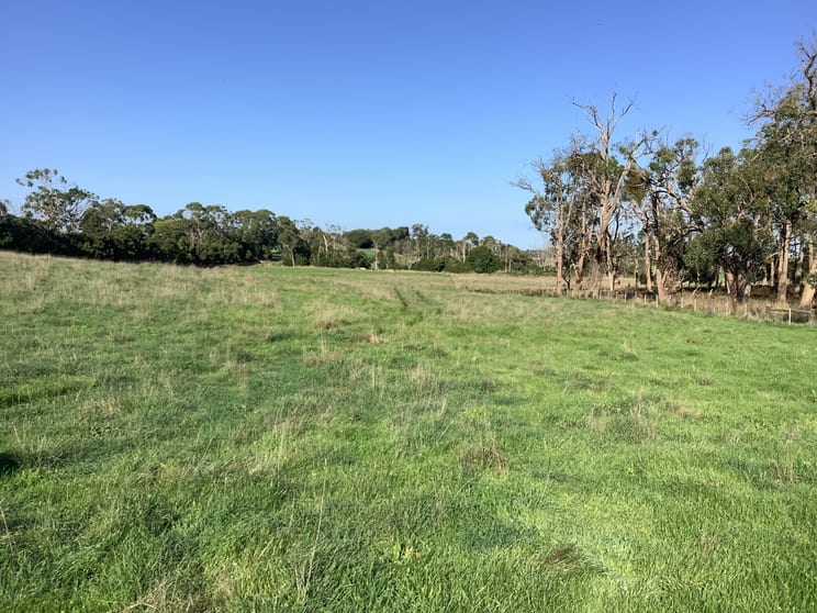 . Winnap-Nelson Road Drik Drik VIC 3304 - Image 1