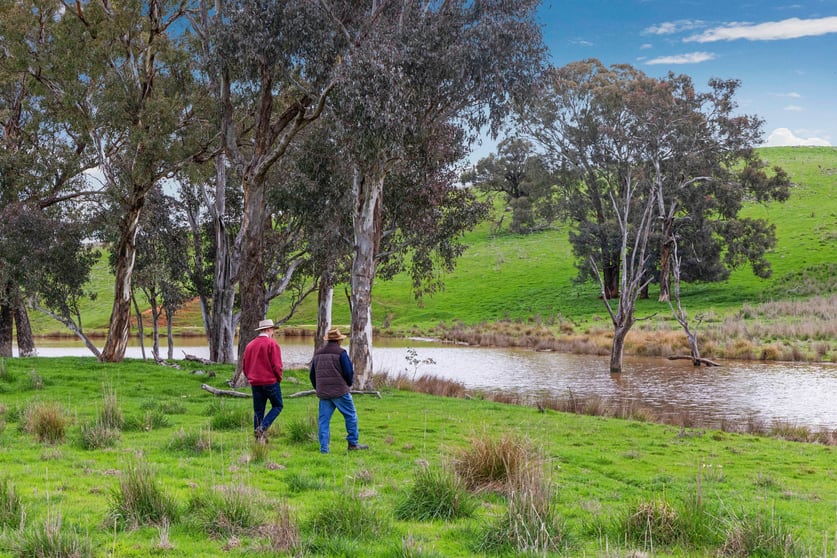 Click to view all images "Reynoldsdale", 1056 Lachlan Valley Way Boorowa NSW 2586 - Image 2