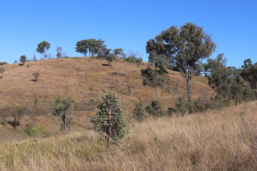 Click to view all images 'Chapmans' Monto Mount Perry Road Mount Perry QLD 4671 - Image 3