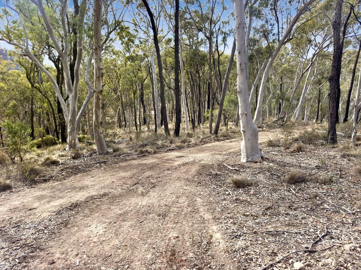 Lot 22 Glen Davis Road Capertee NSW 2846 - Image 2