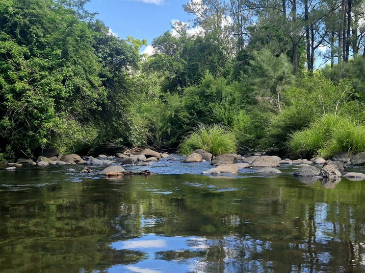 1061 Lynches Creek Road Kyogle NSW 2474 - Image 3