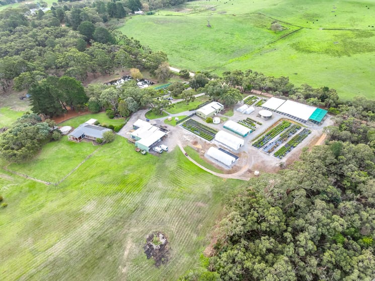 71 Yundi Road Mount Compass SA 5210 - Image 3