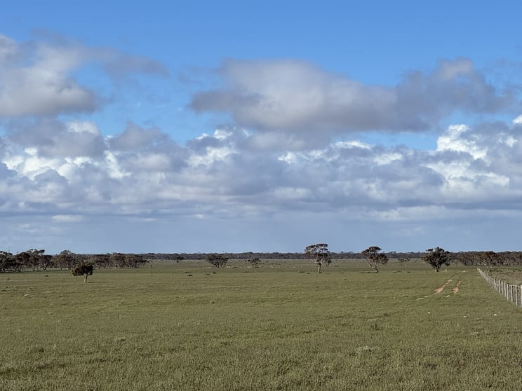 Section 93 Foote Road Brownlow SA 5374 - Image 2