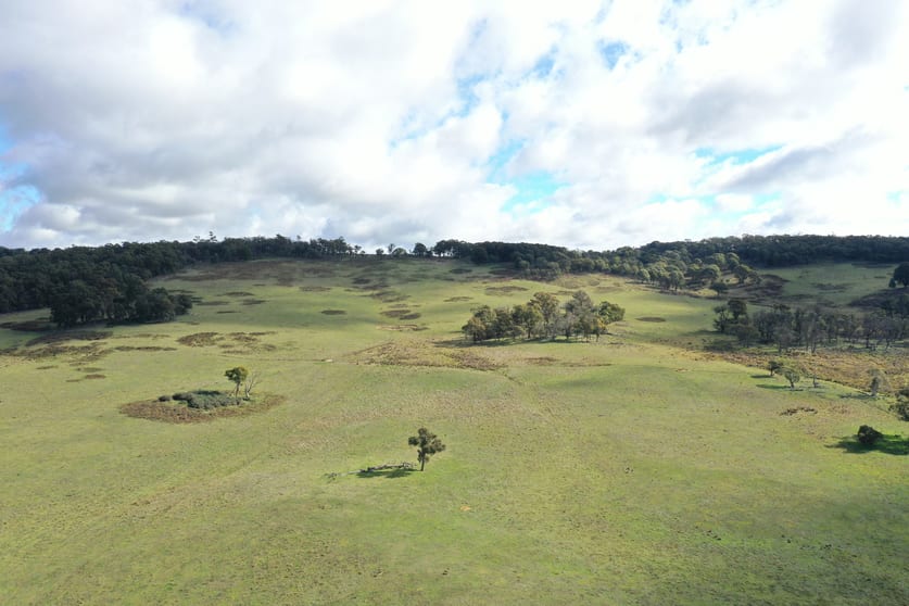 1005 Mount Rae Road Taralga NSW 2580 - Image 3