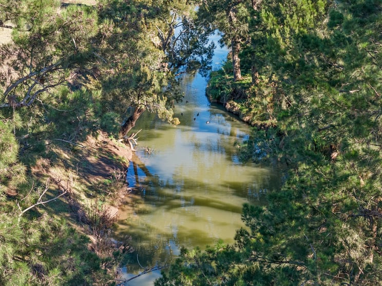 Click to view all images 1260 Freestone Road Freestone QLD 4370 - Image 3