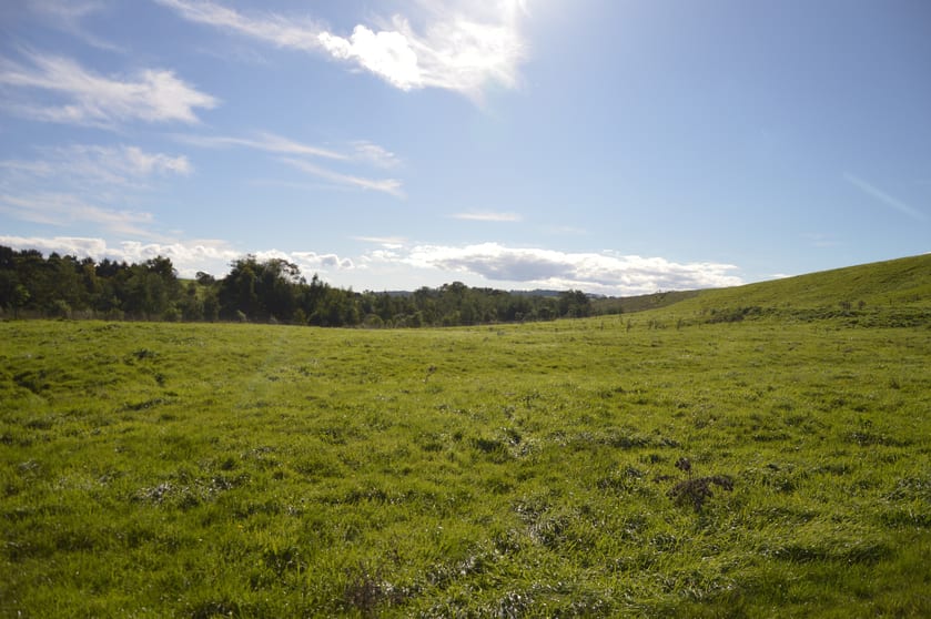 900 Mount Lyall Road Nyora VIC 3987 - Image 2