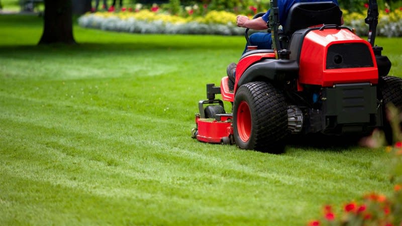 Click to view all images Garden & Household business for sale in Newcastle - Image 2