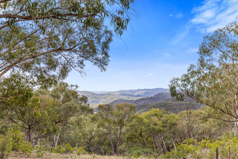 Click to view all images 36 Wallawaugh Road Hargraves NSW 2850 - Image 1