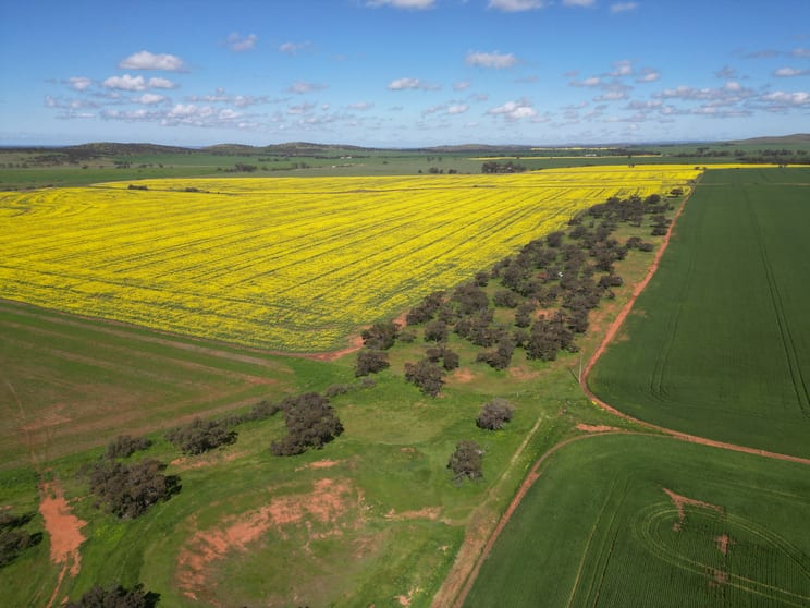 Click to view all images 25/ Brownlow Road Neales Flat SA 5374 - Image 3