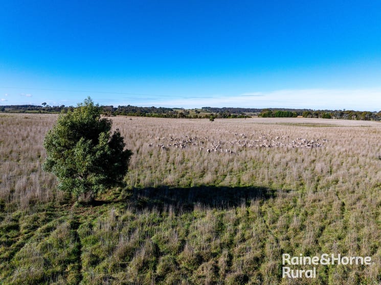 Click to view all images 3150 Range Road Bannister NSW 2580 - Image 2