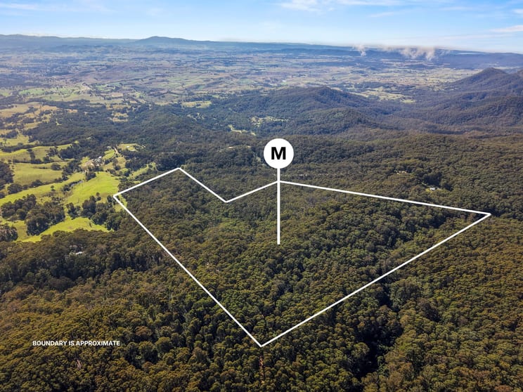 Lot 35 Myrtle Mountain Road Candelo NSW 2550 - Image 2