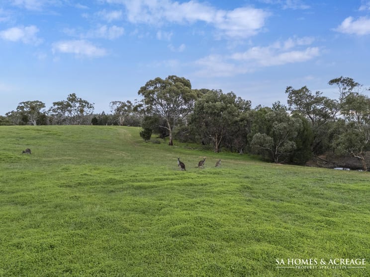 Click to view all images 430 Woodlands Road Barossa Goldfields SA 5351 - Image 3