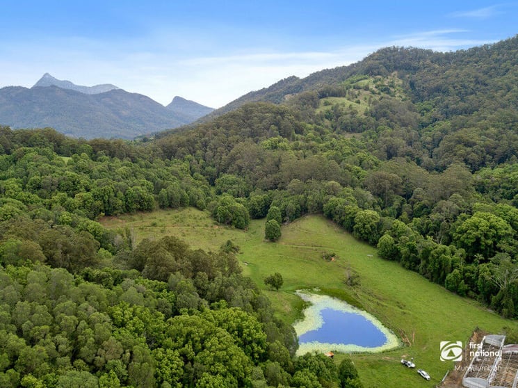 345 Chilcotts Road Chillingham NSW 2484 - Image 2