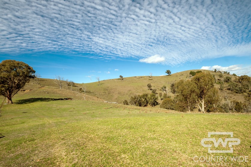 Click to view all images Lot 21 Halls Creek Road Bendemeer NSW 2355 - Image 1