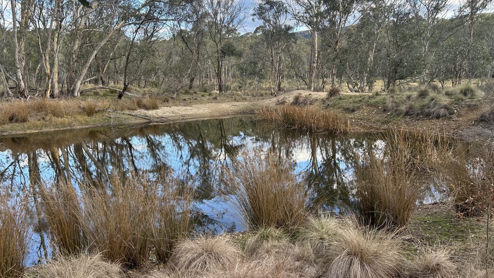 Click to view all images 497 Wyanbene Road Braidwood NSW 2622 - Image 3