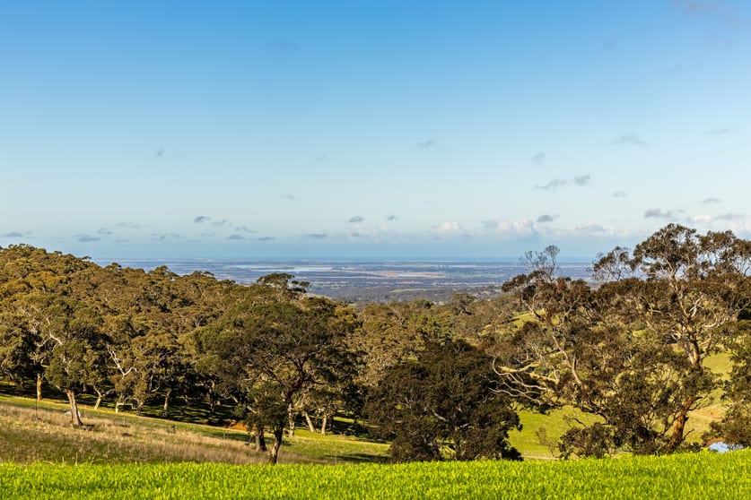 3 Lode Road Ashbourne SA 5157 - Image 3