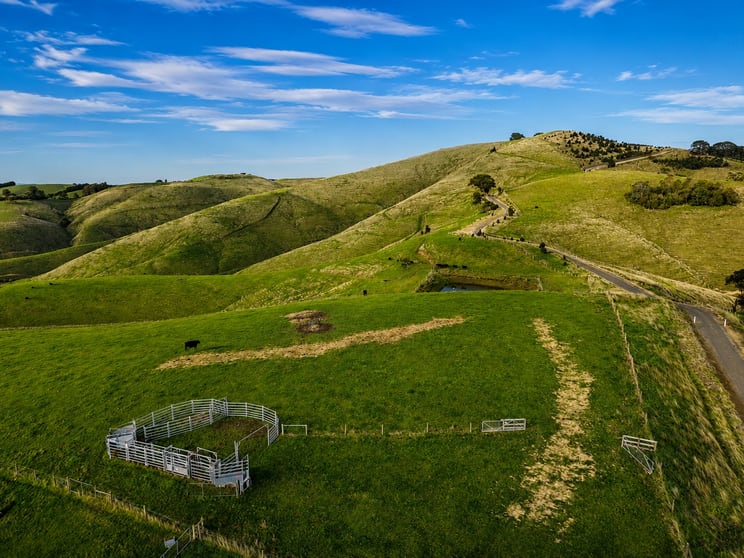 86 McNaughtons Road Wild Dog Valley VIC 3953 - Image 2