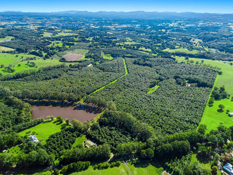 269 Sneaths Road Wollongbar NSW 2477 - Image 1