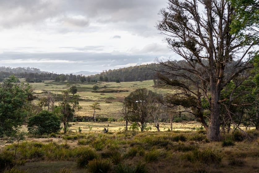 "Goat Gully/Old Hut Lemont Road Lemont TAS 7120 - Image 1