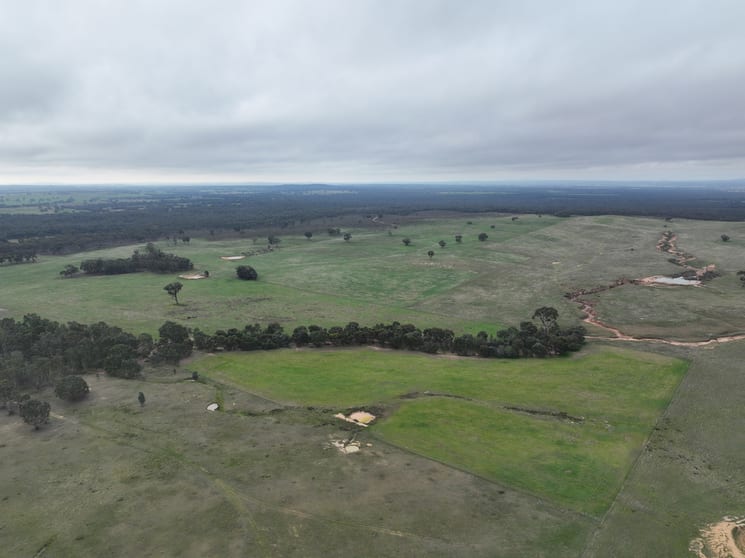 0 Racecourse Road Stuart Mill VIC 3477 - Image 2