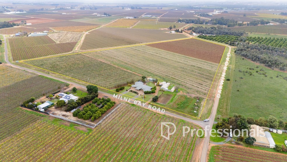77 Milne Bay Road Robinvale VIC 3549 - Image 3