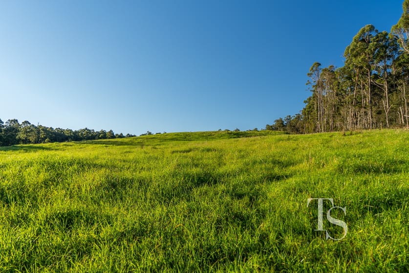 420 Bradys Plain Road Parkham TAS 7304 - Image 2