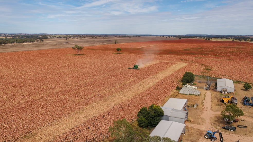 Click to view all images 364 Lecoin Road Delungra Inverell NSW 2360 - Image 1