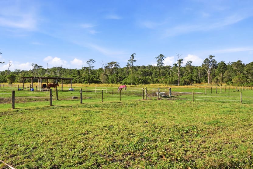 70 Sandra Street Jilliby NSW 2259 - Image 3