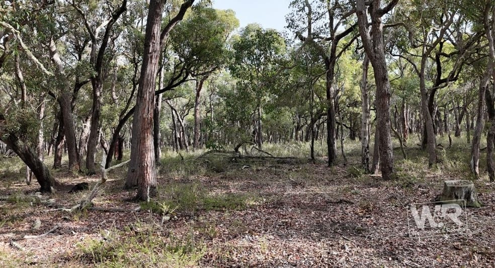 Lot 102 Woodlands Road Narrikup WA 6326 - Image 2