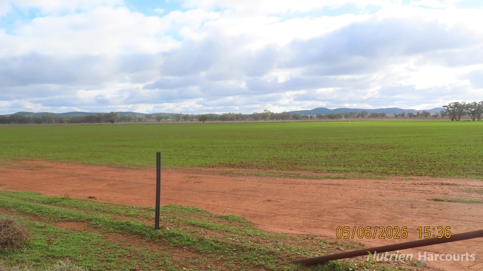 Click to view all images 386 Sarona Downs Road Hermidale NSW 2831 - Image 3
