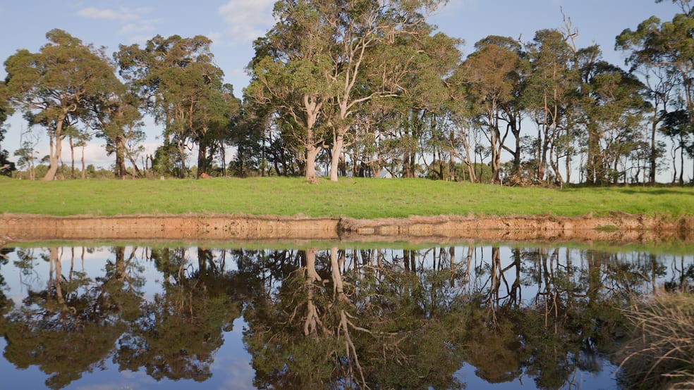 58 Sunshine (via Margaret River - Augusta Region) Avenue Courtenay WA 6288 - Image 2
