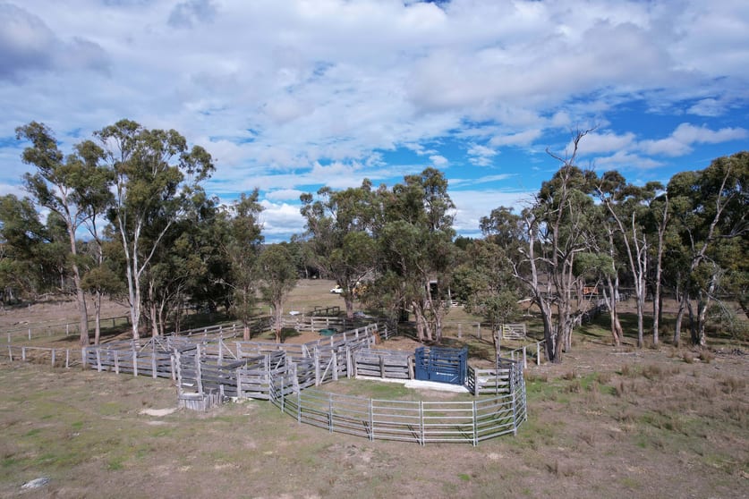 67 Dunn Road Stanthorpe QLD 4380 - Image 1
