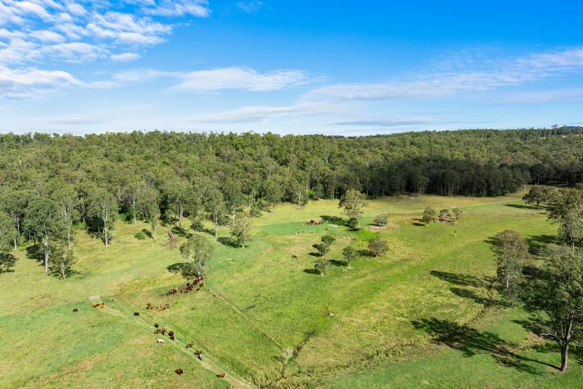 Click to view all images 1276 Dyraaba Road Dyraaba NSW 2470 - Image 3