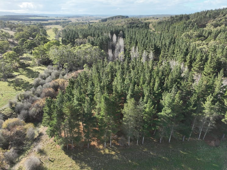 496 Inverary Road Bungonia NSW 2580 - Image 2