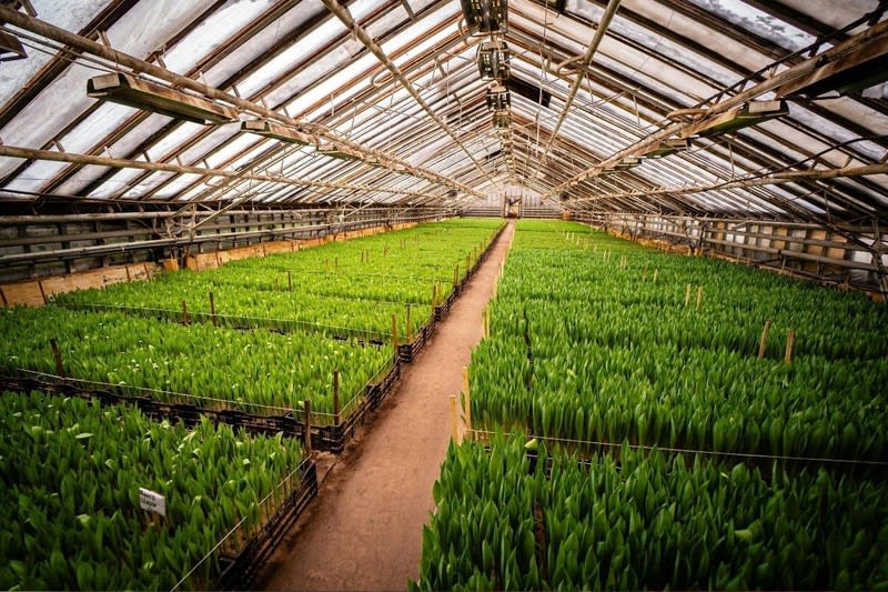 Click to view all images Nursery business for sale in Melbourne - Image 2