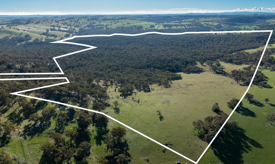 Click to view all images Lot 1, 244 Cobb Drive Woodstock NSW 2793 - Image 1