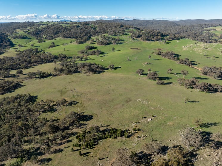 Click to view all images Lot 1, 244 Cobb Drive Woodstock NSW 2793 - Image 3