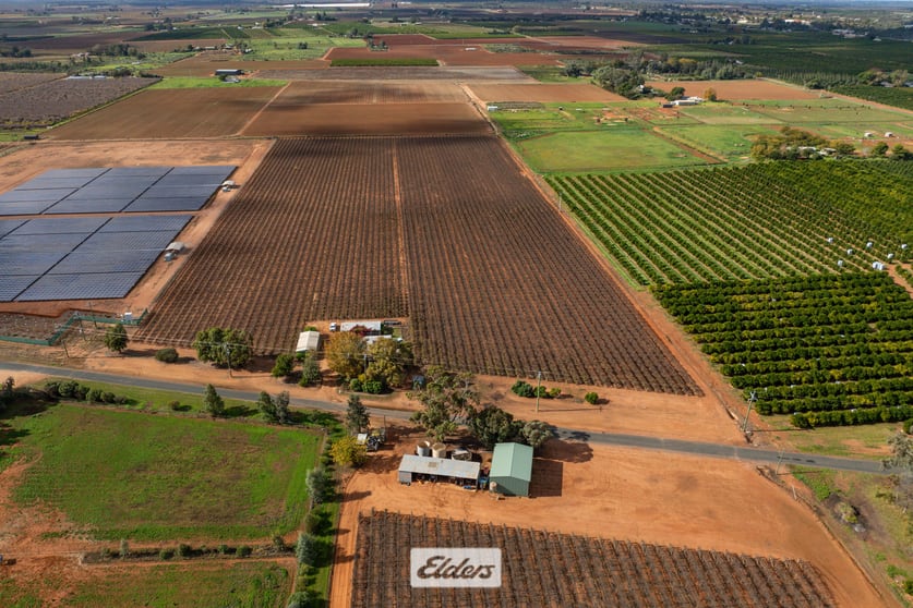 Click to view all images 166 Keenans Drive Coomealla NSW 2717 - Image 2