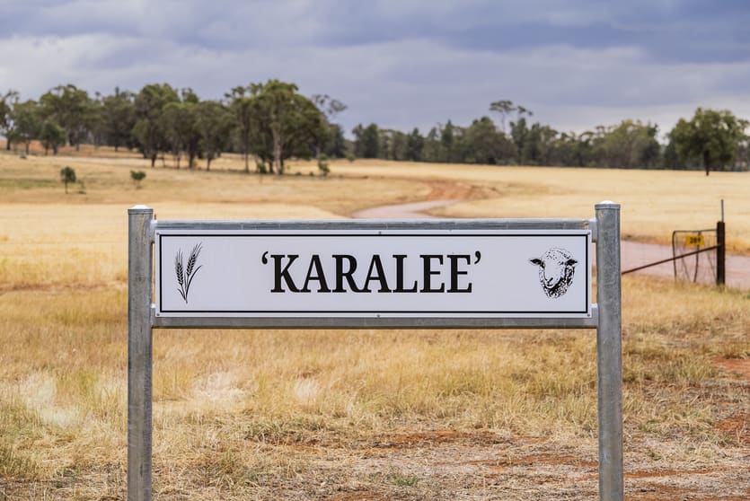 289 Kamarah Road Narrandera NSW 2700 - Image 1