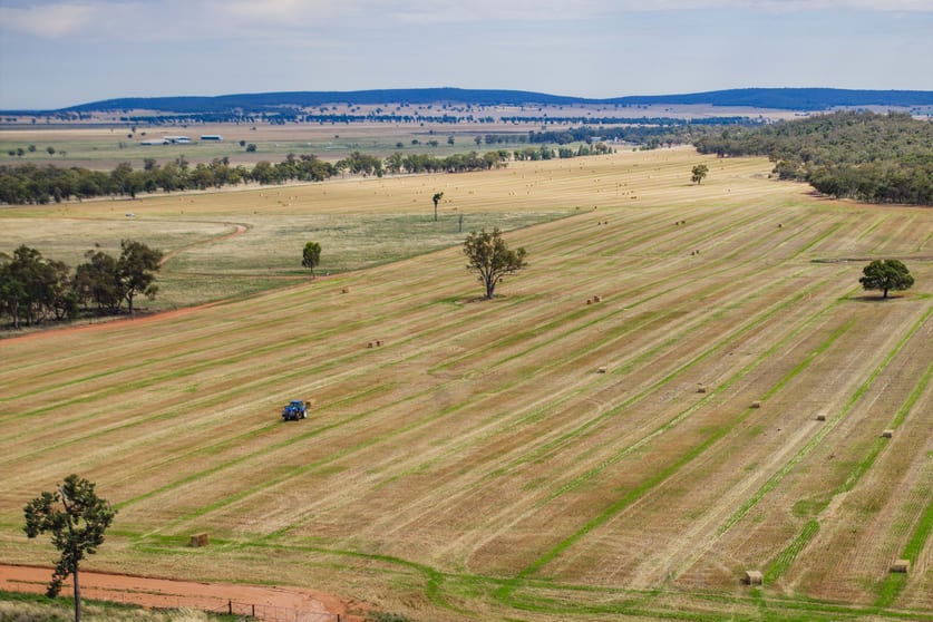 289 Kamarah Road Narrandera NSW 2700 - Image 3