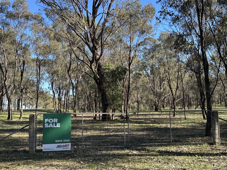 Click to view all images Lot 91 County Boundary Road Pleasant Hills NSW 2658 - Image 1
