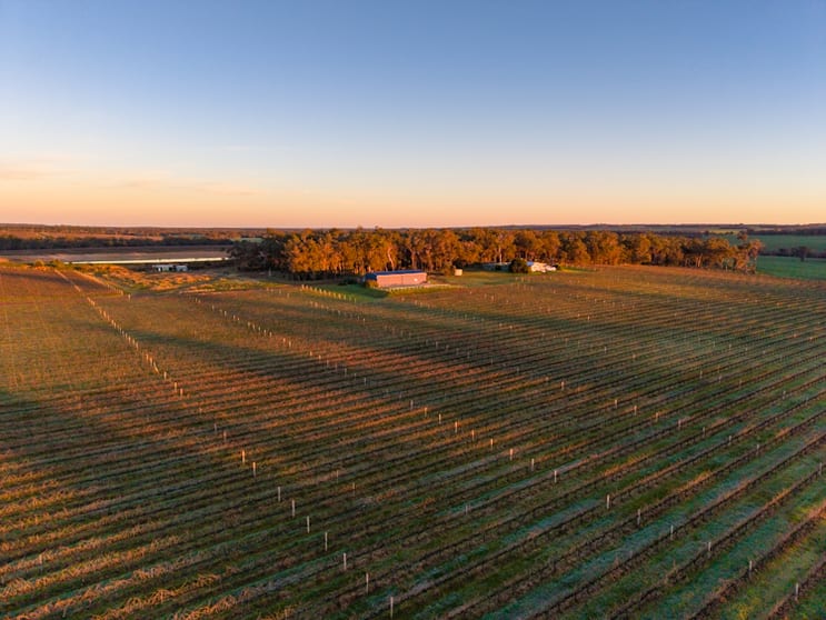 Click to view all images 186 Ferngrove Road Frankland River WA 6396 - Image 3
