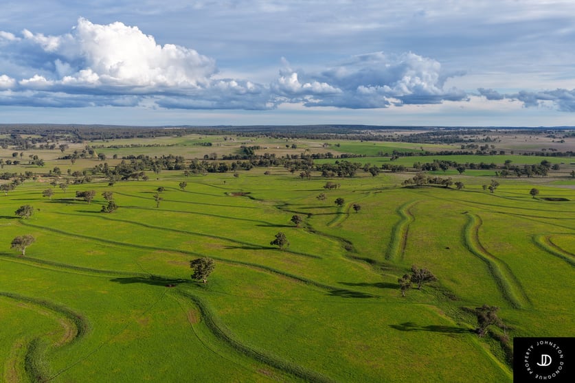 Click to view all images 3985 Purlewaugh Road Purlewaugh NSW 2357 - Image 2